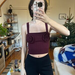 Magda Butrym x H&M Burgundy Knit Crop Top